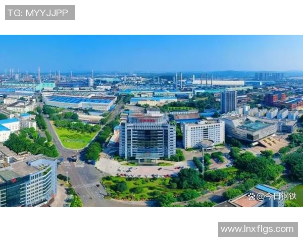 南京羽毛球队逆袭之路：从传统到革新的全新篇章